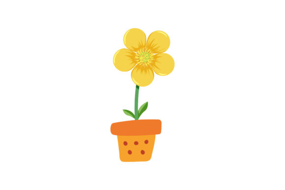Flower s Beauty Decorative